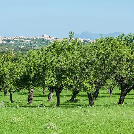 La Bisbal Selva (Mallorca)