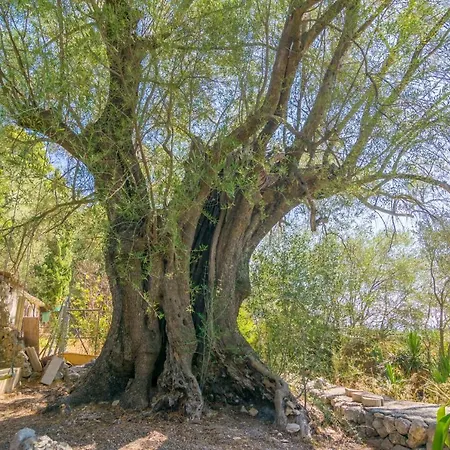 La Bisbal Villa *
