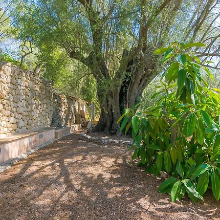 Villa La Bisbal Selva (Mallorca)