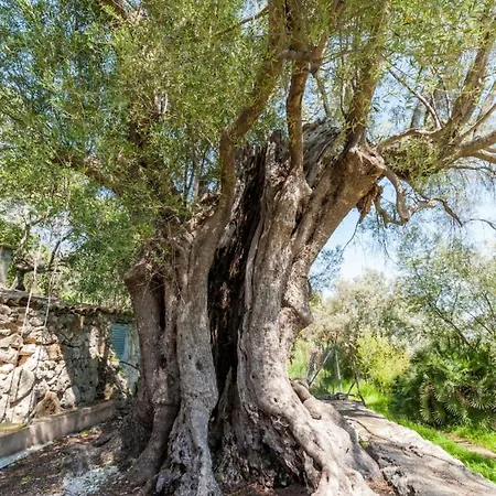 La Bisbal Vila